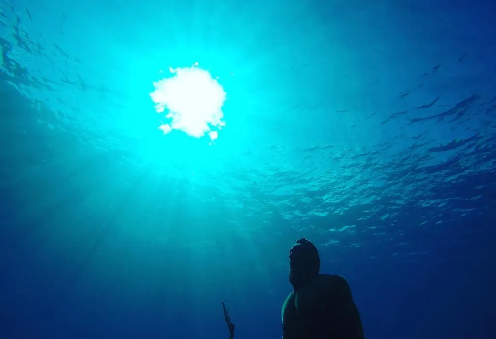 Blue Reef-1