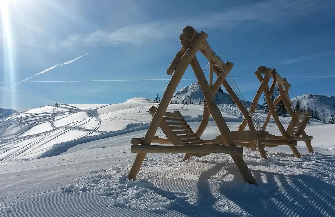 Flachauer Bergkristall-1