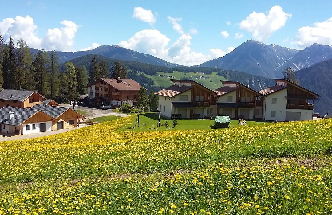 Chalet Frapes-1