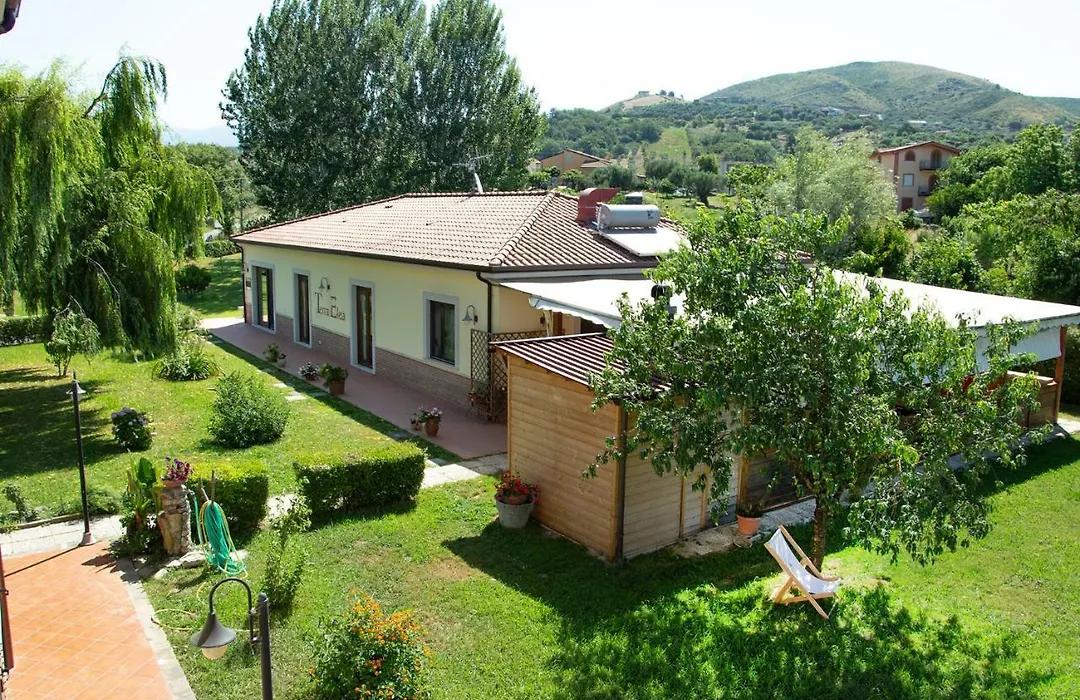 Agriturismo Terra Di Elea-1