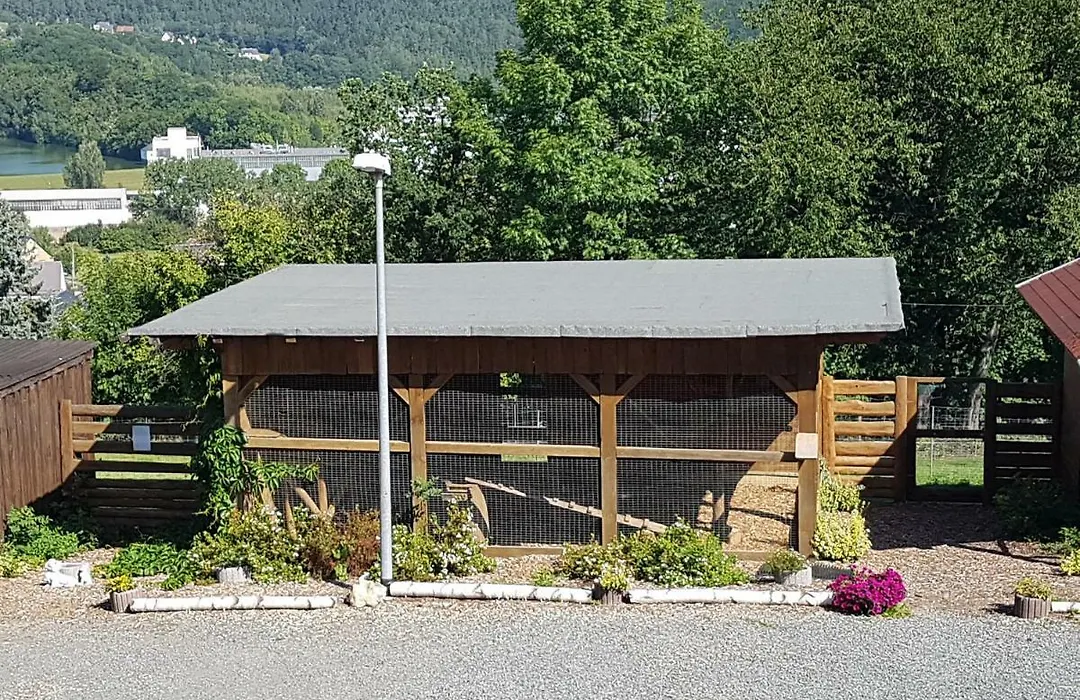 Pension und Bauernhof Petzold-1