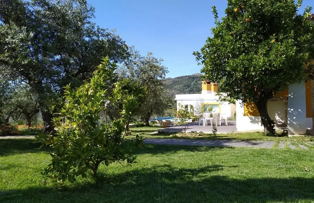 Casa Da Paleta-1