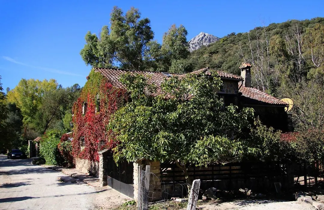 Molino Rodete-1