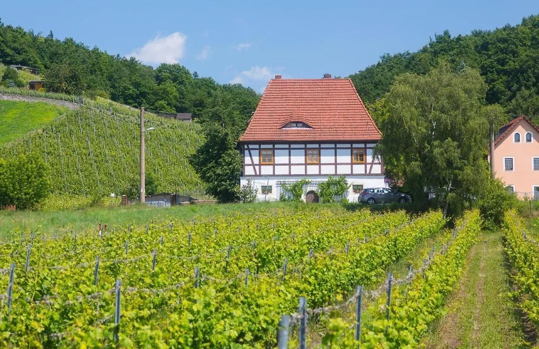 Börse Coswig-1