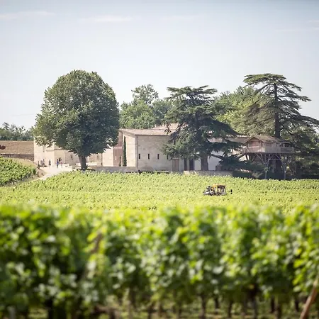 Le Relais De Franc Mayne Saint Emilion-3
