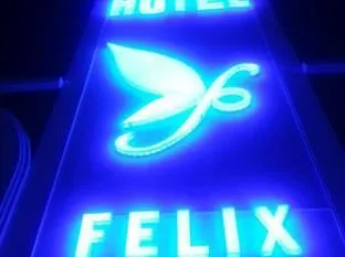 Felix Garden Hotel-3