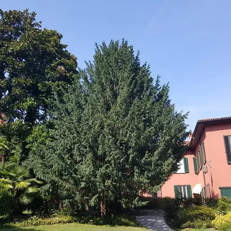 Villa Magnolia Lago Maggiore-3