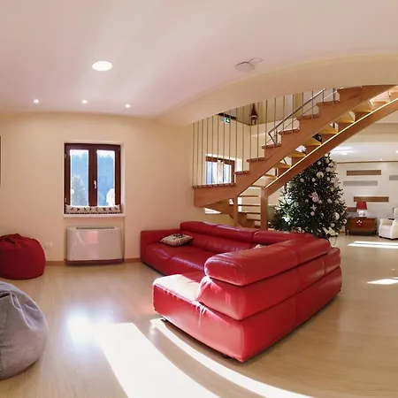 Abete Bianco - Albergo del Natale-2