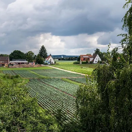 Hotel Grüne Elster-2