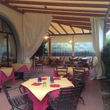 Airone Pisa Hotel Ristorante-2