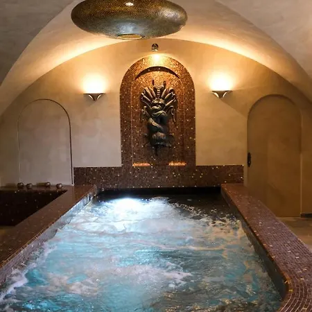 Hotel Restaurant Spa Le Sauvage-2