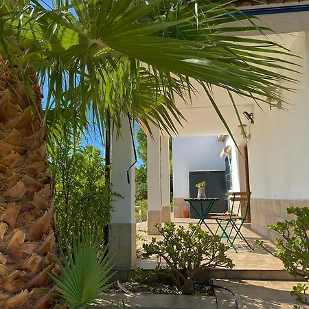 Las Palmeras-2