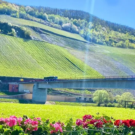 Hotel Krone Riesling-3