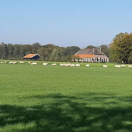 B&B Joostink In Vorden-2