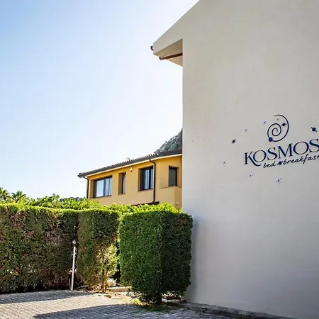 Kosmos B&B-2