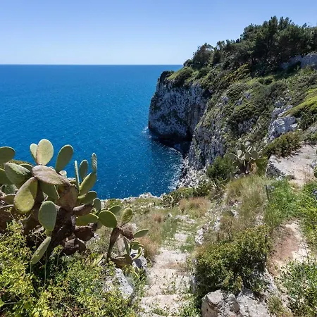 Il Posto delle Fragole-3
