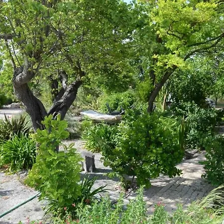 Herdade Da Fonte Ferreira-2
