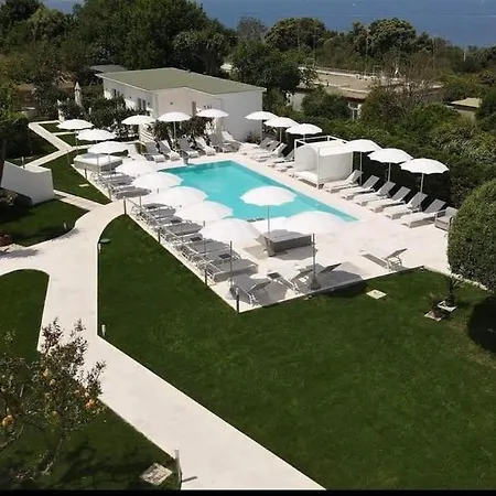 Il Leone Di Mare-3