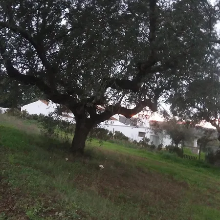 Monte Da Samarra-3