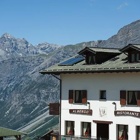 Hotel Gallo Cedrone-3