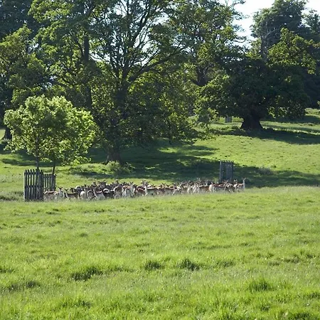 Park Farm-2