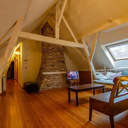 Vakantiewoning De Luysmolen-2