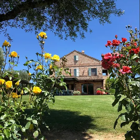 La Villa degli Ulivi-2