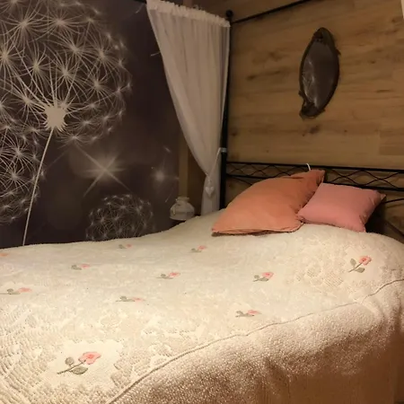 Holiday Guesthouse La Casina di Butzi pet friendly - Terme di Arta - Zoncolan-2