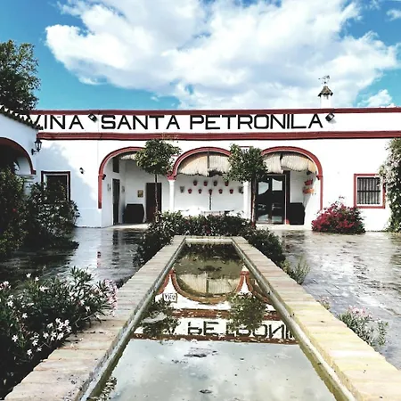 Vina Santa Petronila Torre-3