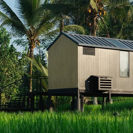 Bobocabin Ubud, Bali-2