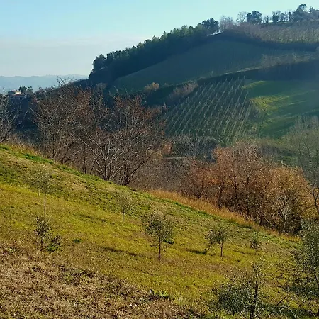 Azienda agricola biologica Le Lucciole-2