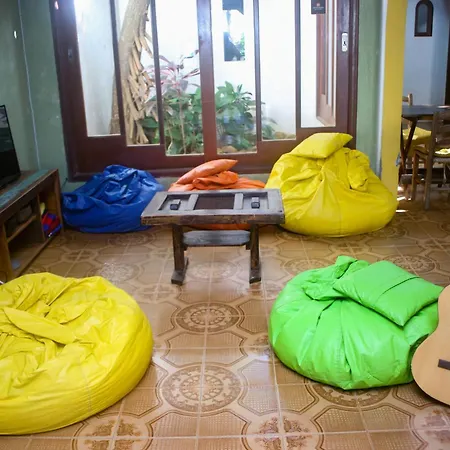 Geckos Hostel-2