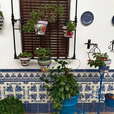 Casa Rural Patio Rociero-3