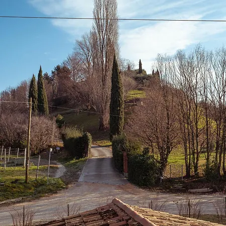 La Vigna di Sarah-3