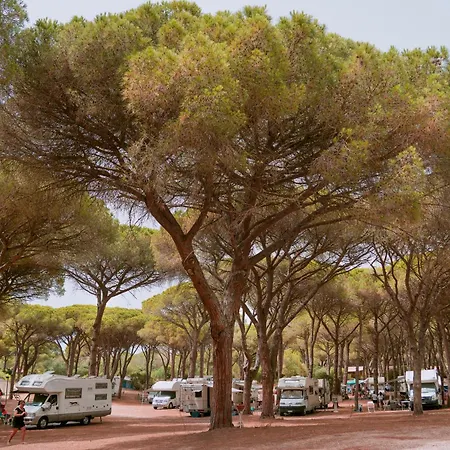 Camping Village S'Ena Arrubia-3