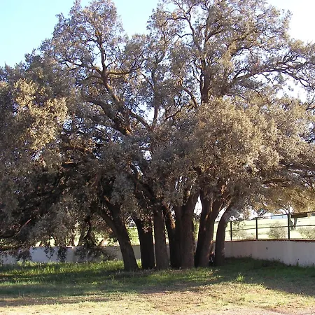 Agroturismo Calixto-2