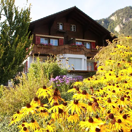 Adventure Guesthouse Interlaken-2