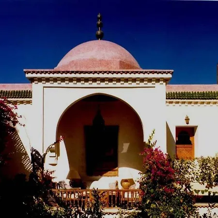 Riad Noga-3