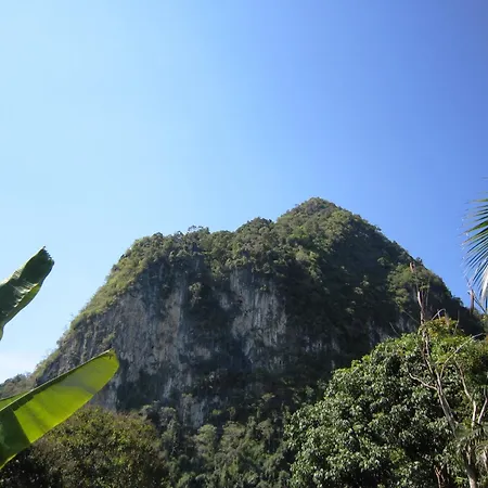 Phanom Bencha Mountain Resort-2