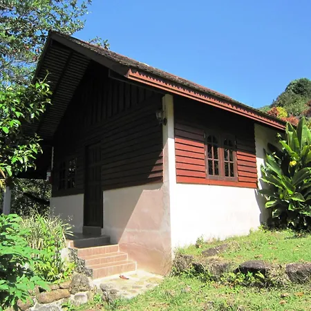 Phanom Bencha Mountain Resort-3