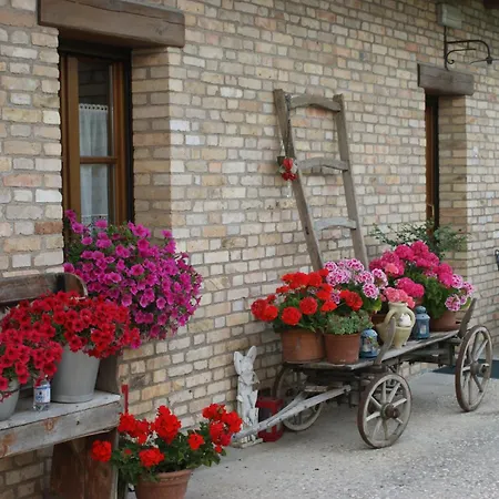 Agriturismo Albafiorita-2