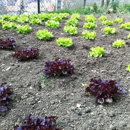 Agroturismo Izarre-2
