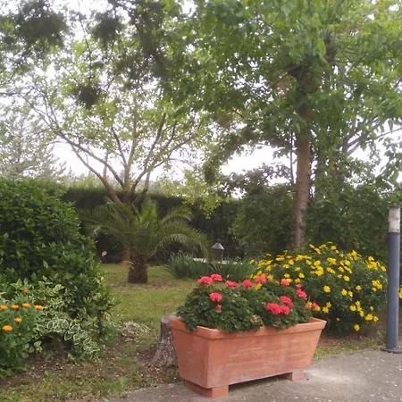 Vivienda Turística Rural Mari Carmen-3