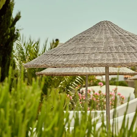 La Posidonia-2
