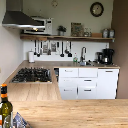 Have a nice stay! - Holiday Home de Witte Raaf with garden&hottub-3