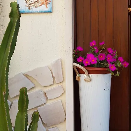 Sogno Mediterraneo-2