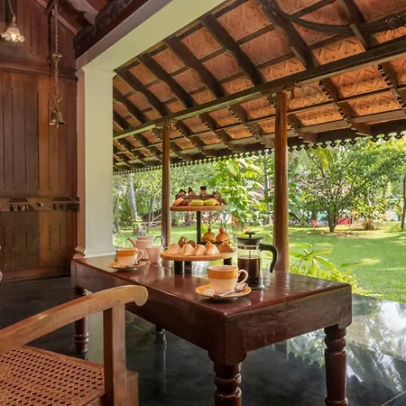 Big Banyan Vineyard & Resort-3