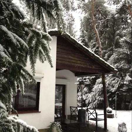 Magical Cottage In The Woods-3