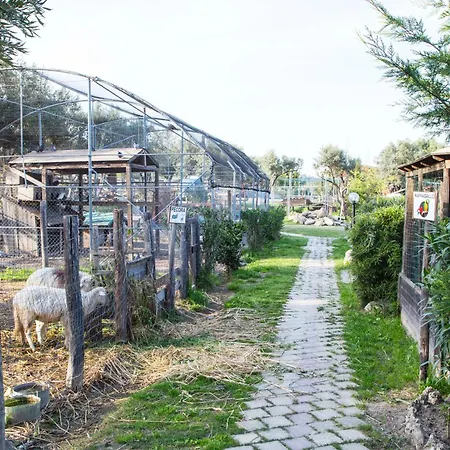 Agriturismo Fassi-2