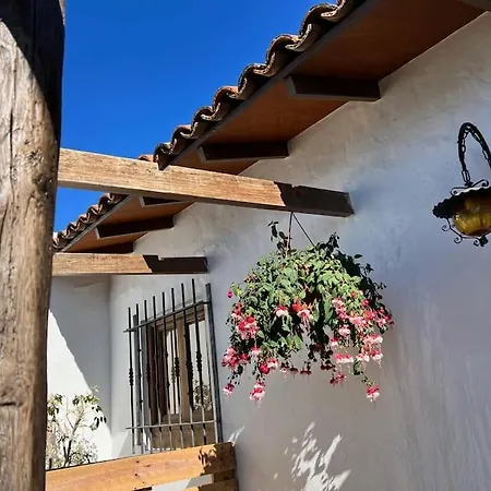 The Zarzamora Canary Little Home-3
